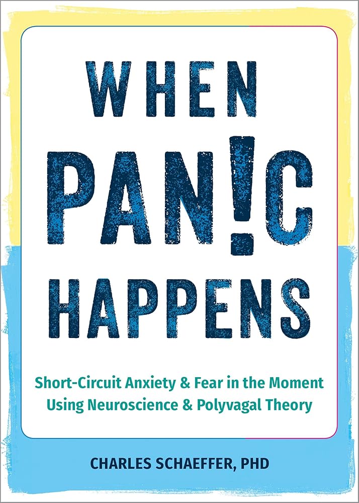 When Panic Happens: Short-Circuit Anxiety and Fear in the Moment Using Neuroscience and Polyvagal Theory cover image